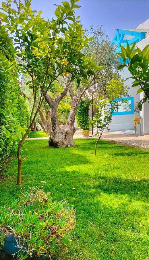 B&B Casrienn Матината Екстериор снимка